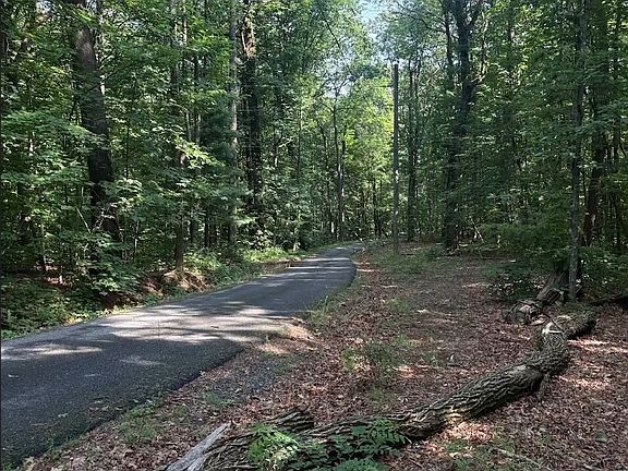 5th image of 0 Laurel Branch Dr