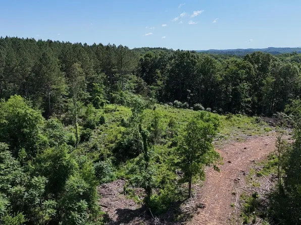 2 Lamontville Rd, Decatur, TN 37322