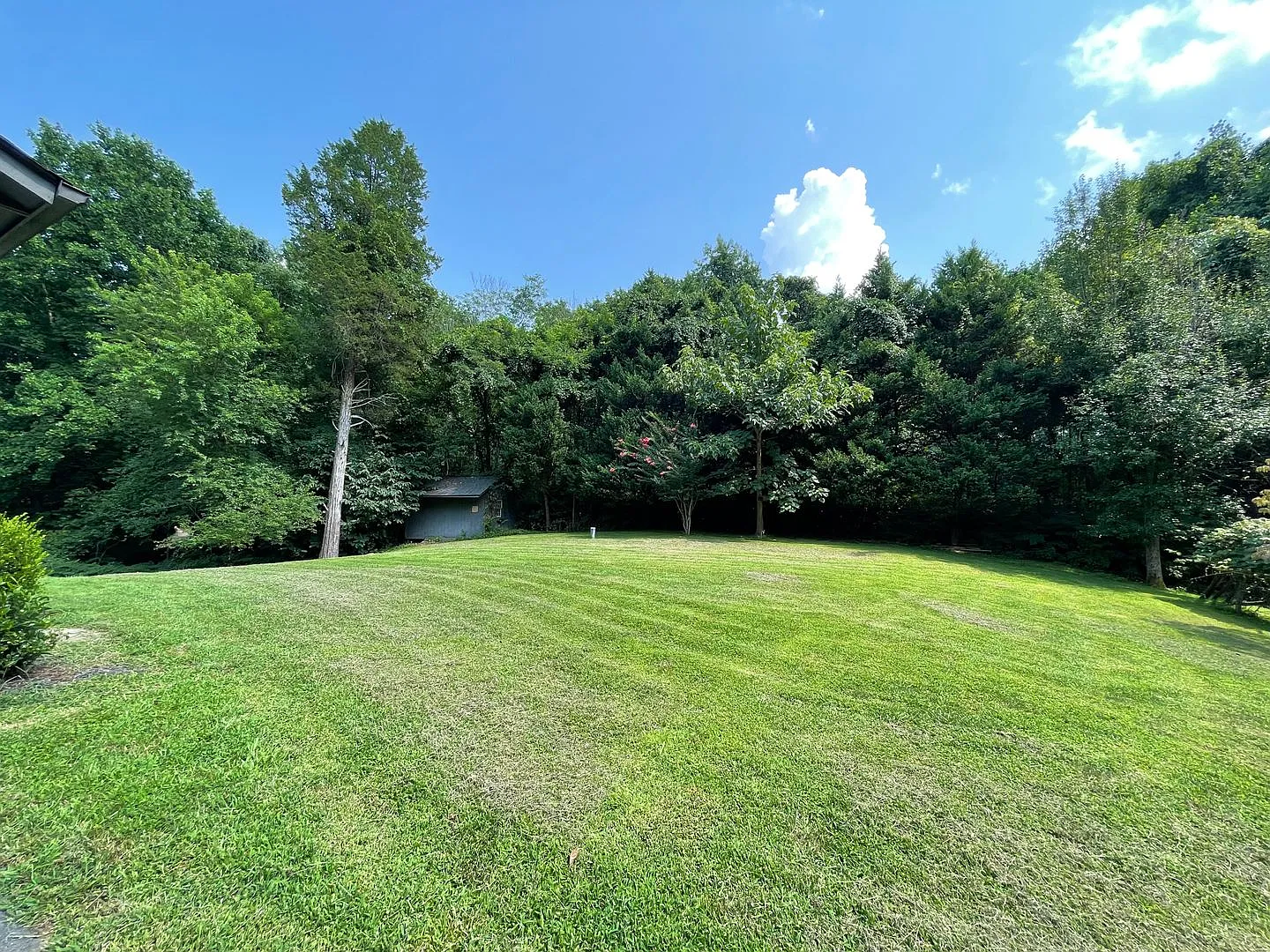 Commuters Dream! Private Acreage Stafford And Minutes To Vre — Photo 3