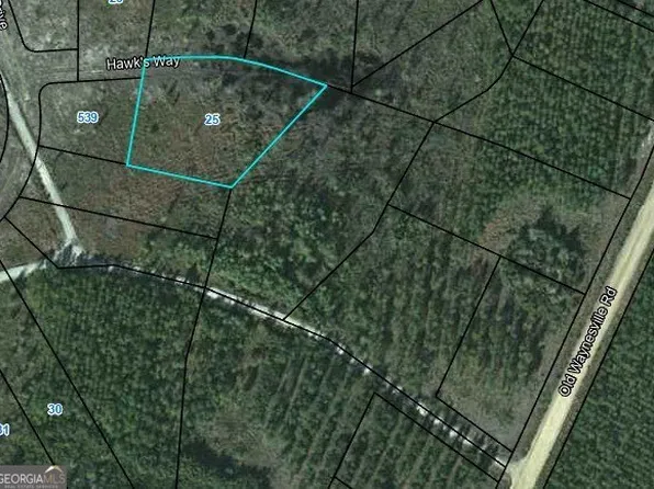 25 Hawks Way, Waynesville, GA 31566