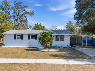 9381 Rosa St, Spring Hill, FL 34608