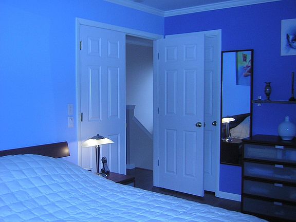 Master Bedroom with French doors, walk-in closet