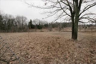 5th image of 5855 Nancy Ann Dr