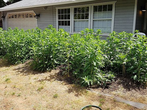 2nd image of 14800 Wildlife Dr