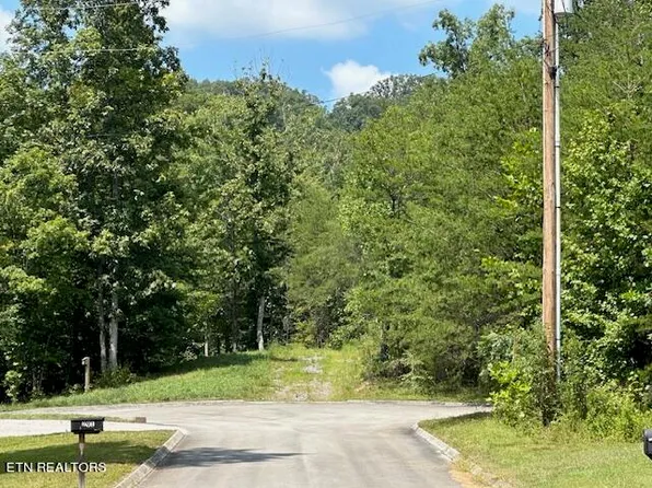 Cedar Ave, Rutledge, TN 37861