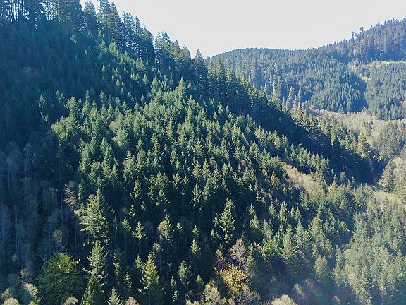 5th image of S Fork Rd