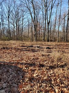 4440 Lake Rd, London, OH, 43140