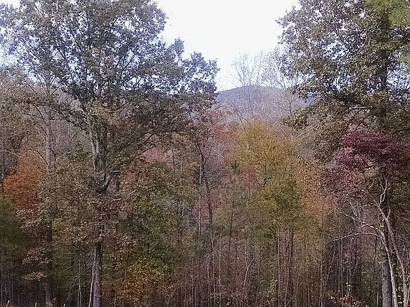 Fall Colors from Deck