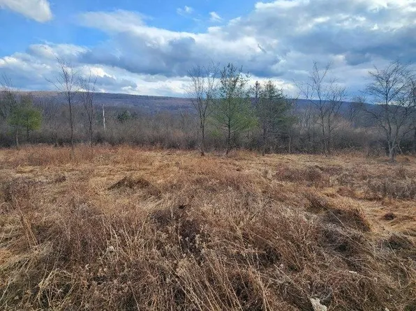 0 W Dowdy Hole Rd Lot 2, Howard, PA 16841