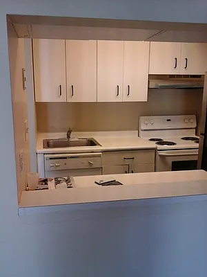 Rented by 18 REALTY | media 15