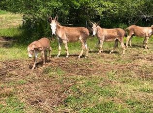 5580 Whitehall Rd, Lula, GA 30554