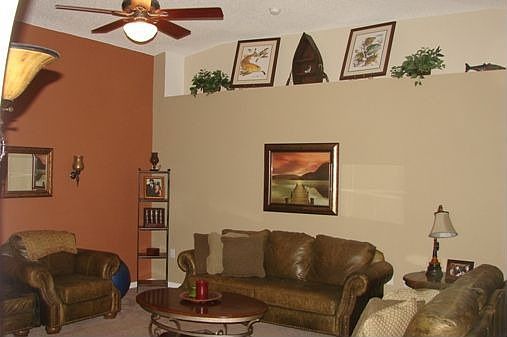 Plant Shelves in Living room