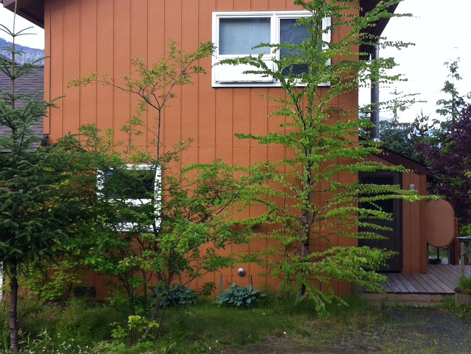 1st image of 4472 Hillcrest Ave