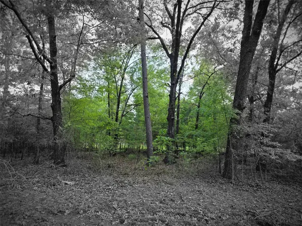 LOT 25 Bending Oaks Ln Lot 25, Livingston, TX 77351