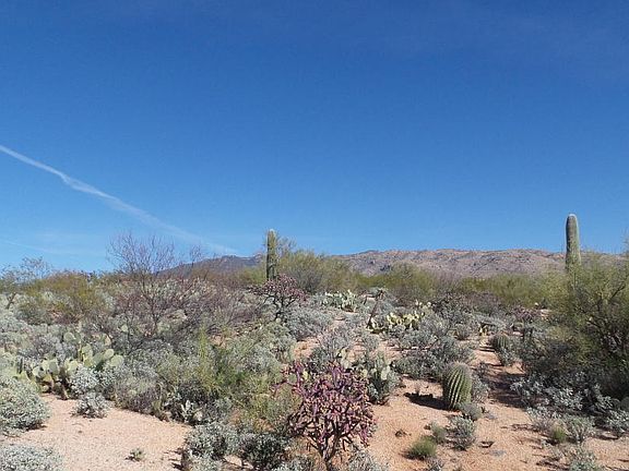 2nd image of 11810 E Calle Javelina #28