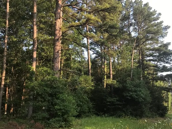 1627 Fm 3056, Hawkins, TX 75765