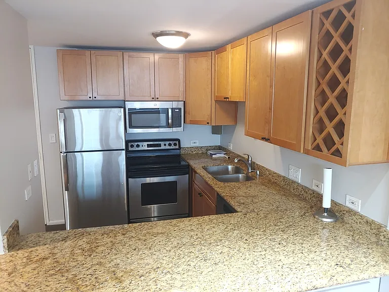 233 E Erie St #2409 — Photo 11