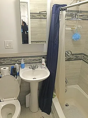 Rented by Rapid Realty Cobble Hill | media 27
