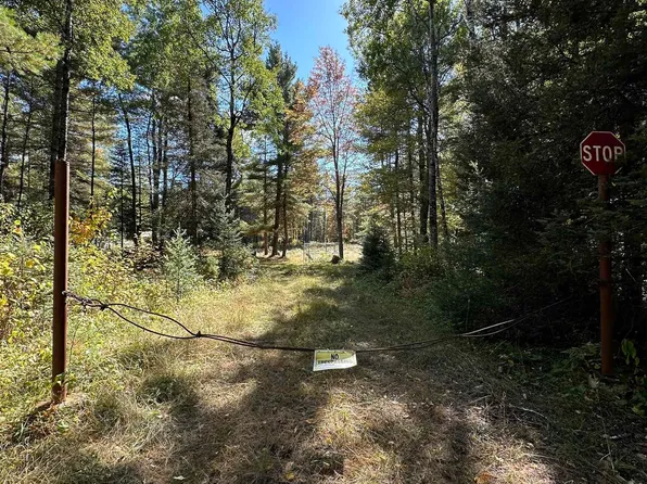 Tbd Amvets Hwy, Iron River, MI 49935