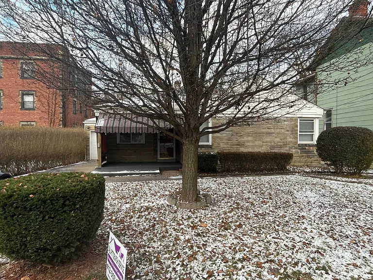 Front tree (winter)
