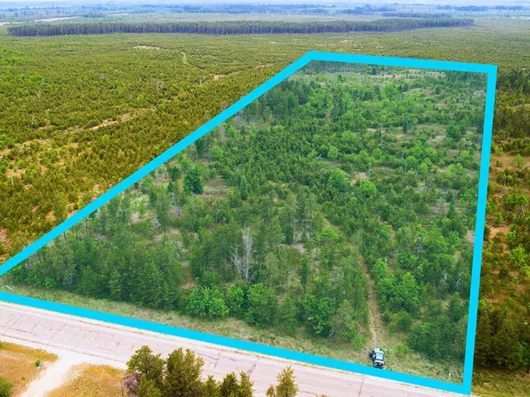 W Miller Rd, Lewiston, MI 49756