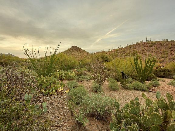 5145 W. Camino Del Desierto-1183