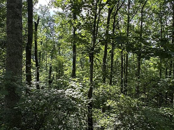 4th image of 0 Fernwood Ct