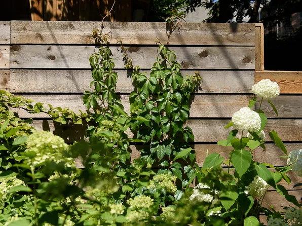 62 Wyckoff Street image 50 of 294