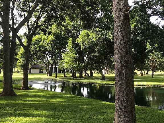 Pond view from backyard 