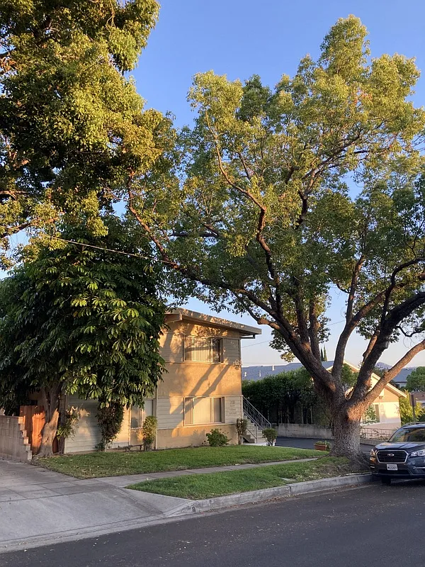 1 bed, $1,750 — Photo 3