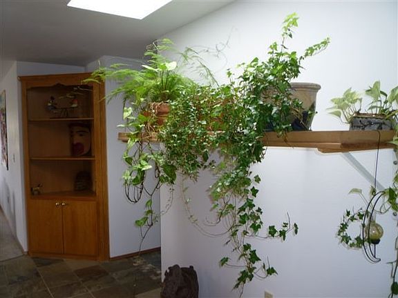 Entrance has skylight and plant shelf