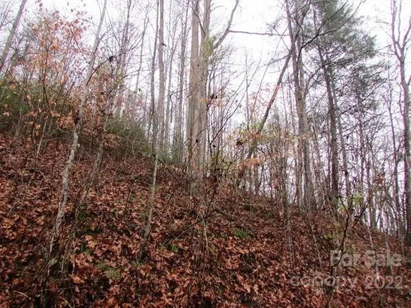 Pack Saddle Dr, Green Mountain, NC 28740