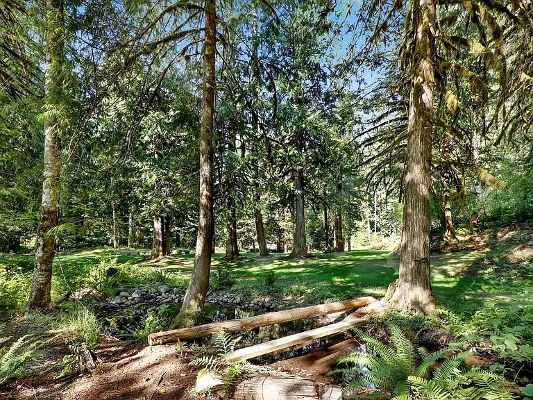 10443 Mount Baker Hwy #6 — Photo 11