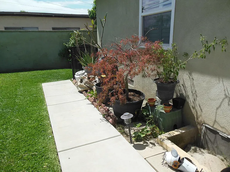 447 Melham Ave — Photo 24
