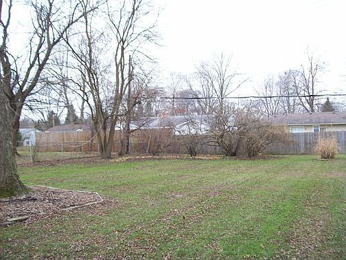 Back yard 2 
