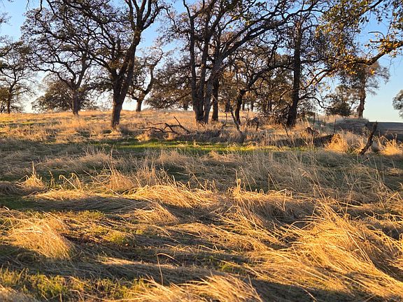 3rd image of 0 Avacado Rd