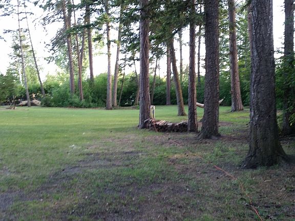 small part of back yard