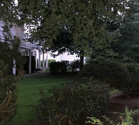 back yard