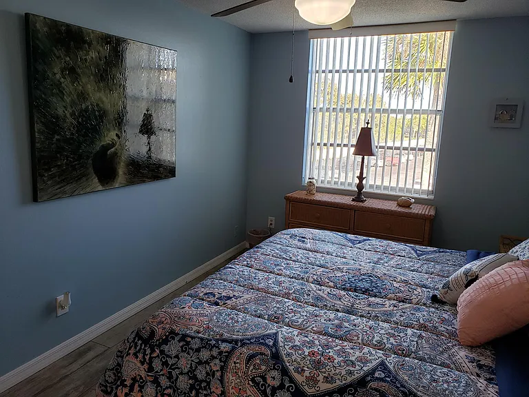 MBr with king size bed, dresser, bureau, walk in closet.