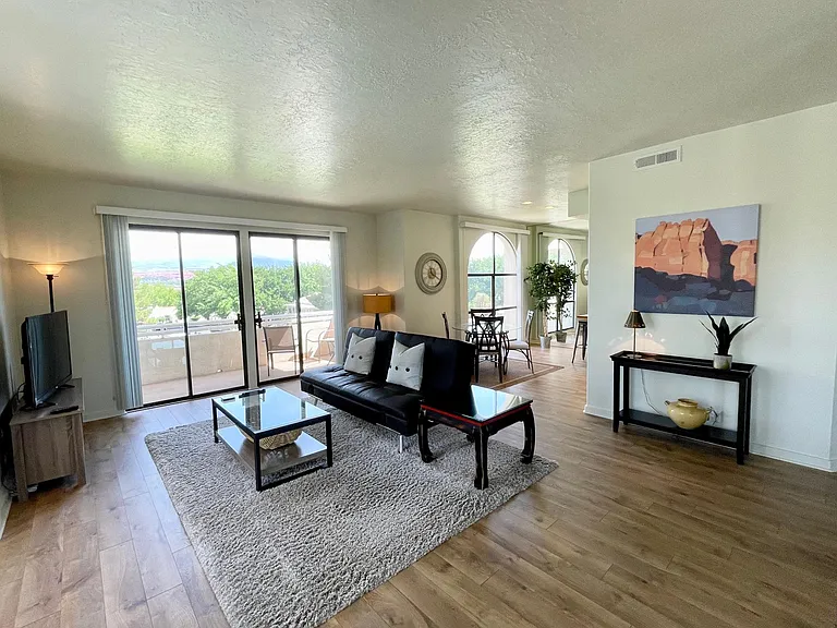 Main living area as you enter unit
