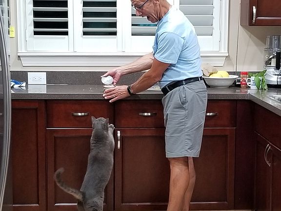 The Kitchen (and Cat!)