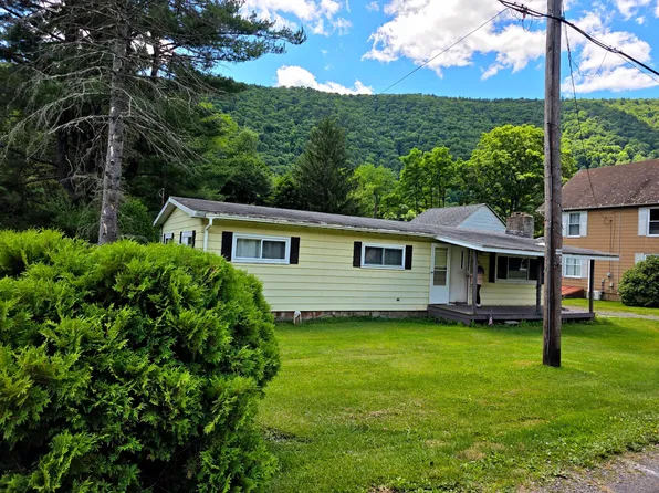906 Central Ave, Renovo, PA 17764