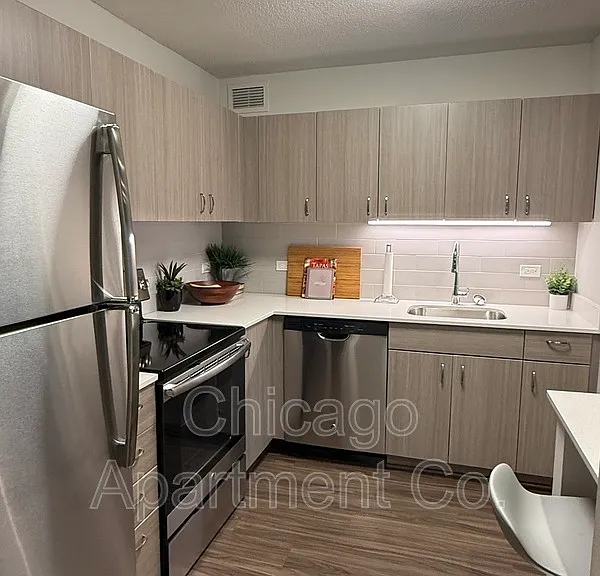 1135 N Dearborn St #402 — Photo 2