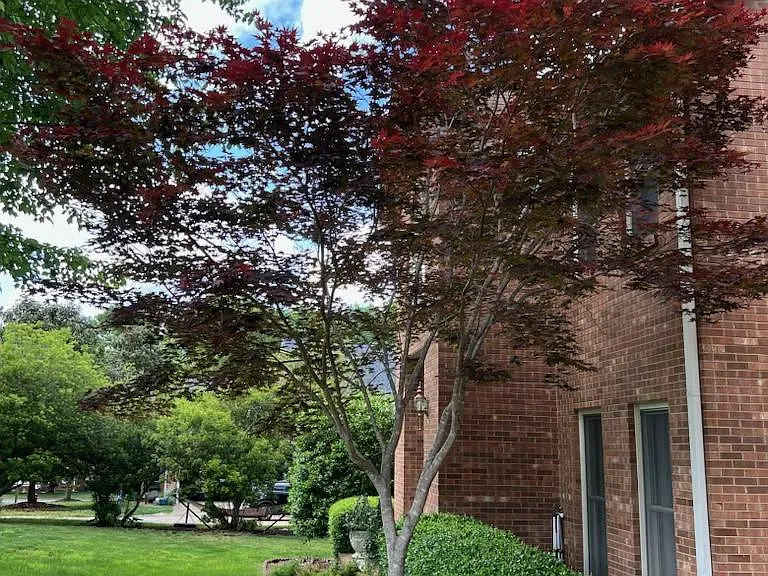 1444 Freedom Ct — Photo 43