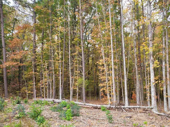 2 & 3 Loftis Loop Rd, Roxboro, NC 27574