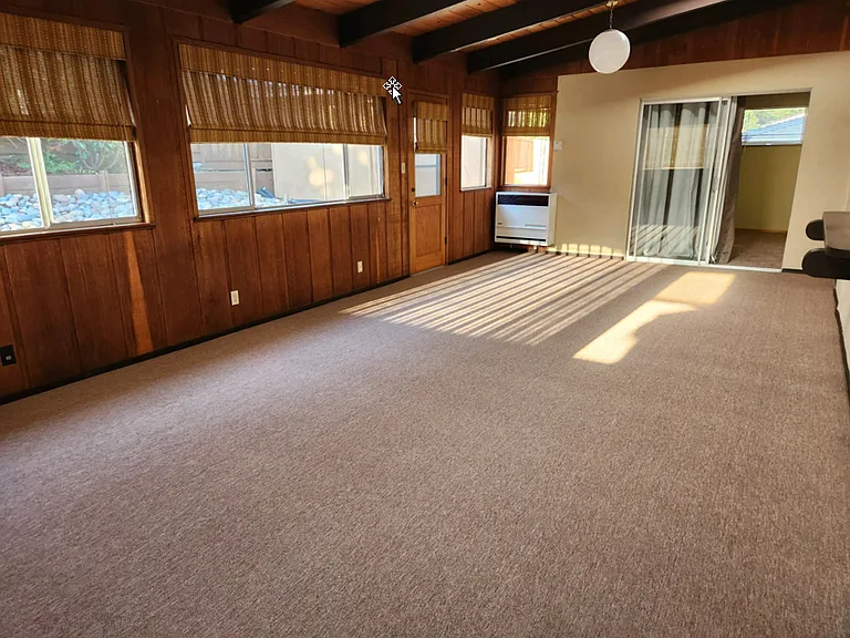 Large Rumpus Room with Sky Lights