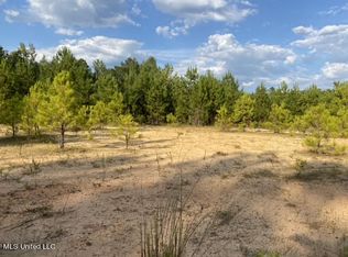 926 Virgin Mary Rd, Camden, MS 39045