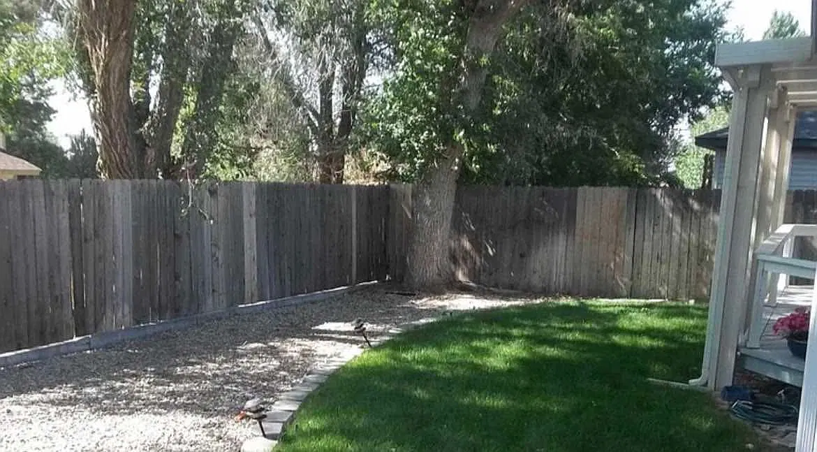 4 bed, 1581 sqft, $1,500 — Photo 3
