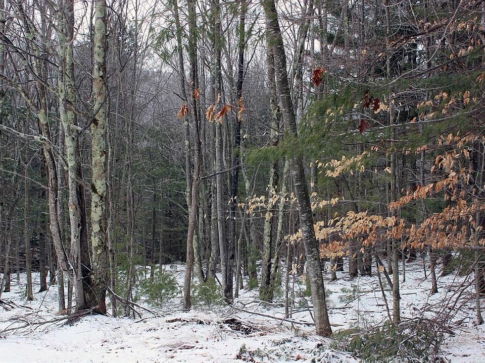 2nd image of 51 Juniper Hill Rd