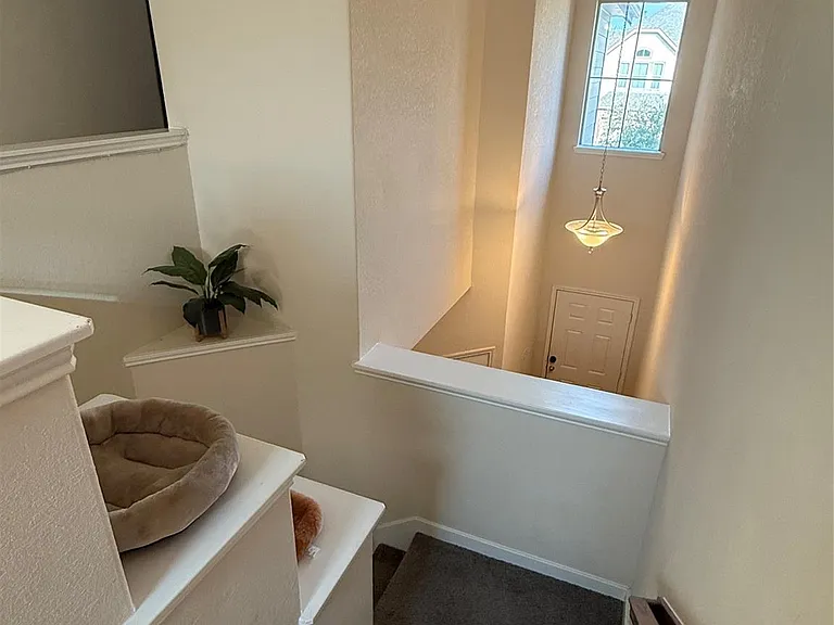 8315 Columbia Forest Dr — Photo 15